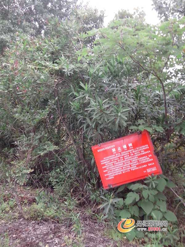 招牌2.jpg