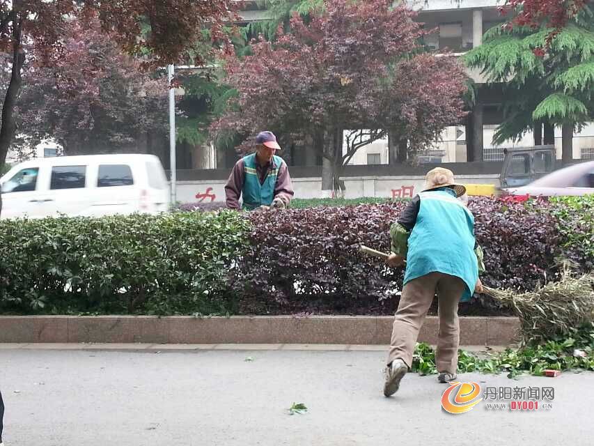 绿化修剪.jpg