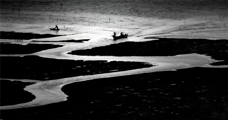 《归途》2014获中国摄影家协会“海悦城杯”中国（洞头）海洋海岸摄影大赛优秀奖。并参.jpg