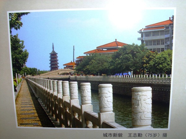 DSCI5090.JPG