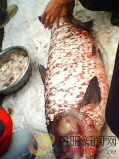 IMG0073A.jpg