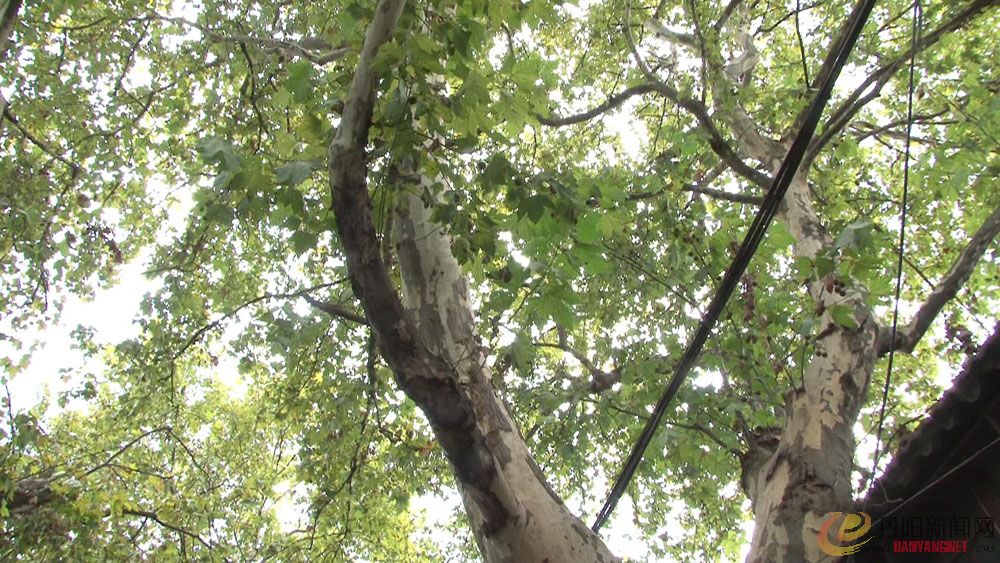 20111026085554.jpg