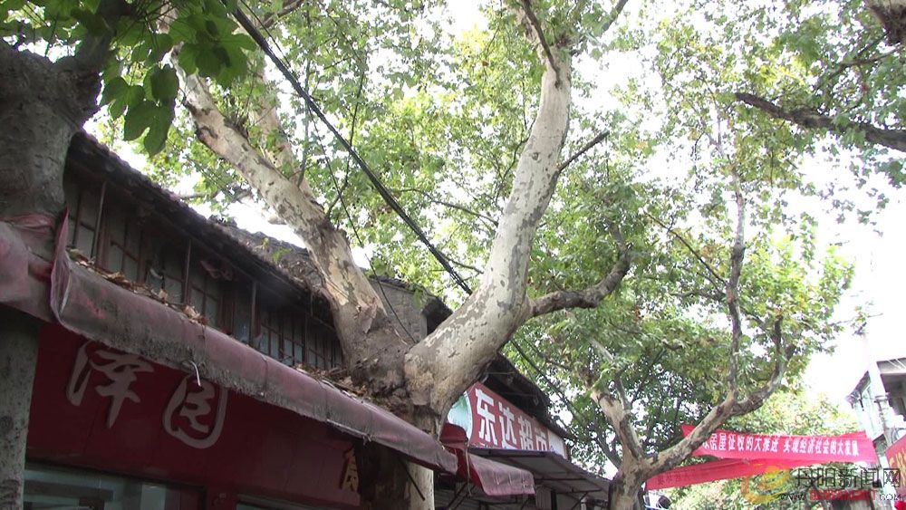 20111026085658.jpg