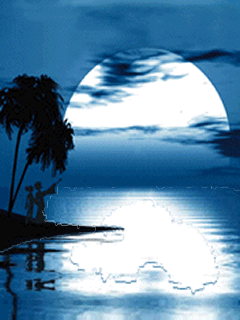 20081112144028760.gif
