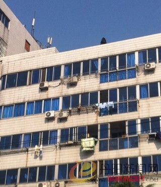 未命名8.jpg