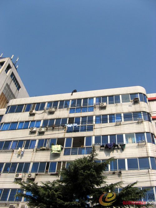 复件 IMG_4333.JPG