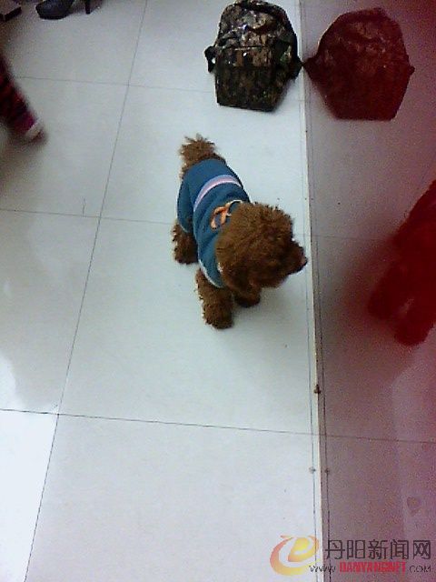 IMG0706A_B.jpg