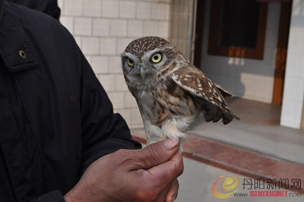 DSC_1095.jpg