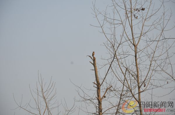 DSC_5697.jpg