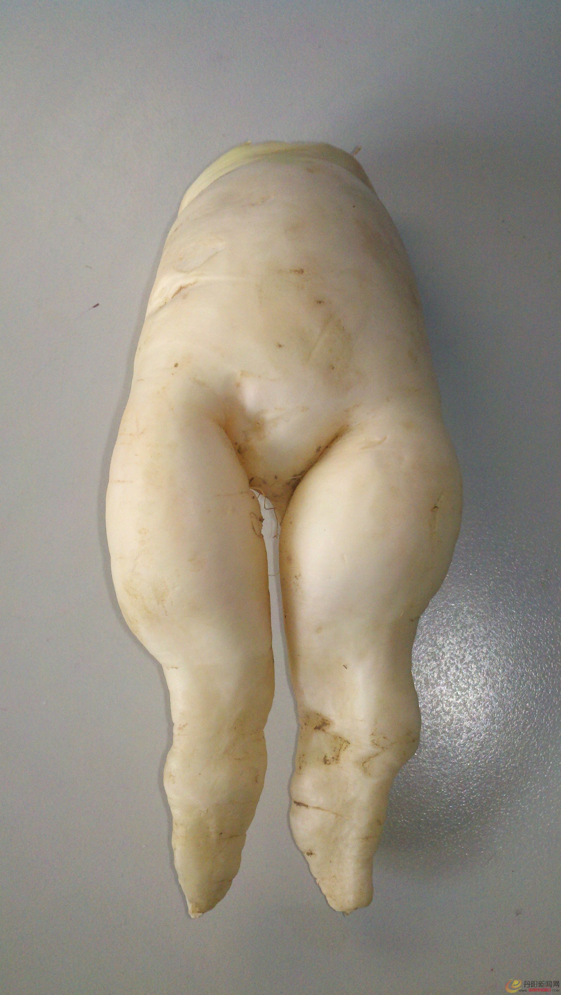 2012-01-05_08-32-31_411.JPG
