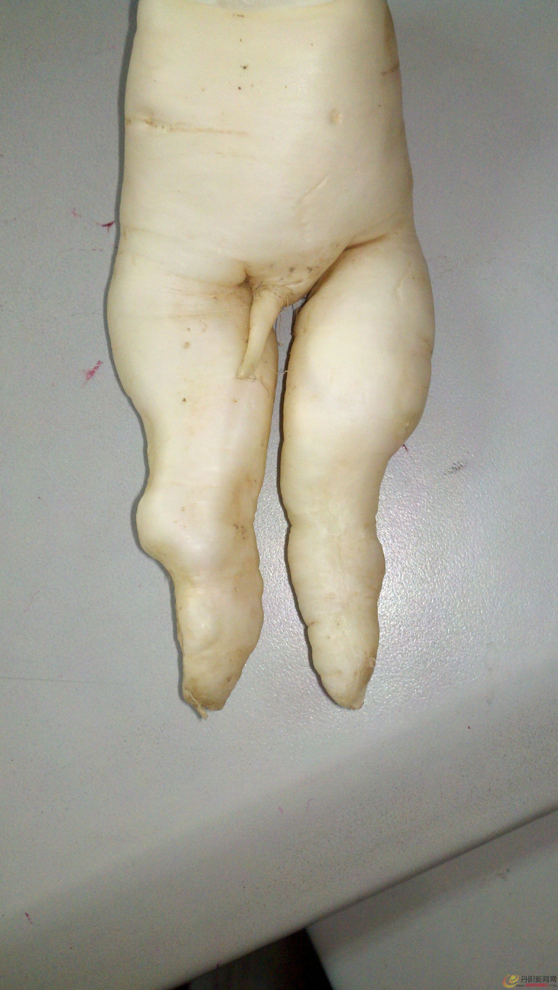 2012-01-05_08-31-21_81.JPG