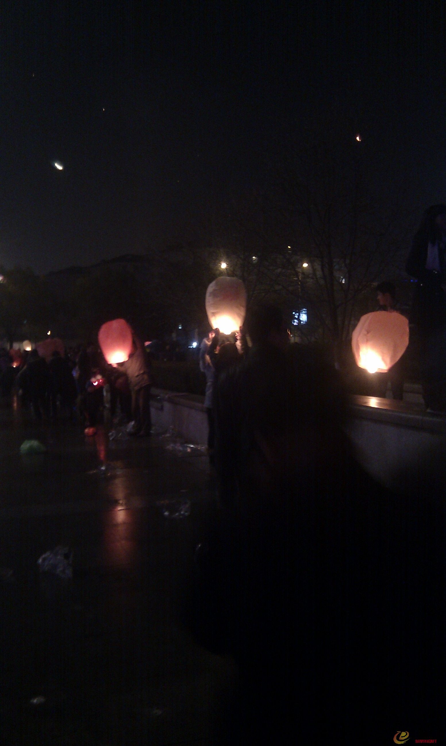 IMAG0087.jpg