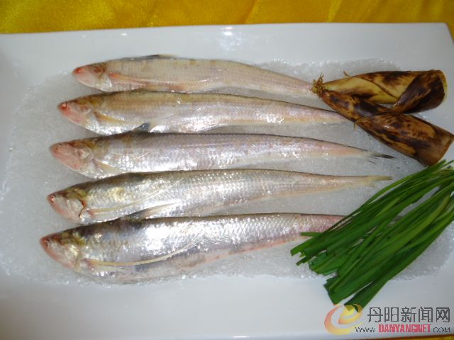 DSC00852.JPG