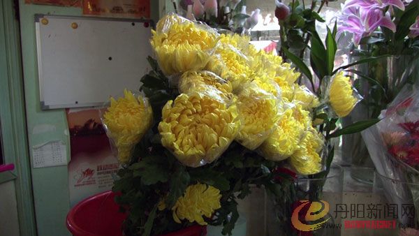 菊花2600.jpg
