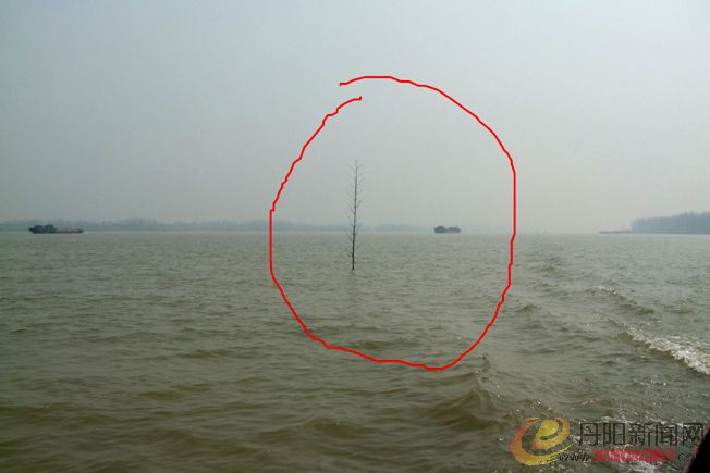 DSCF6745.JPG