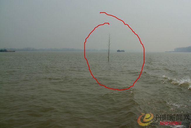 DSCF6746.JPG