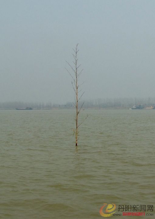 DSCF6748.jpg