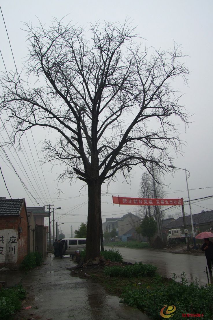 DSCF7239.JPG