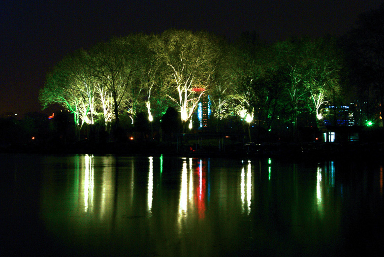 南京玄武湖夜景 03.JPG