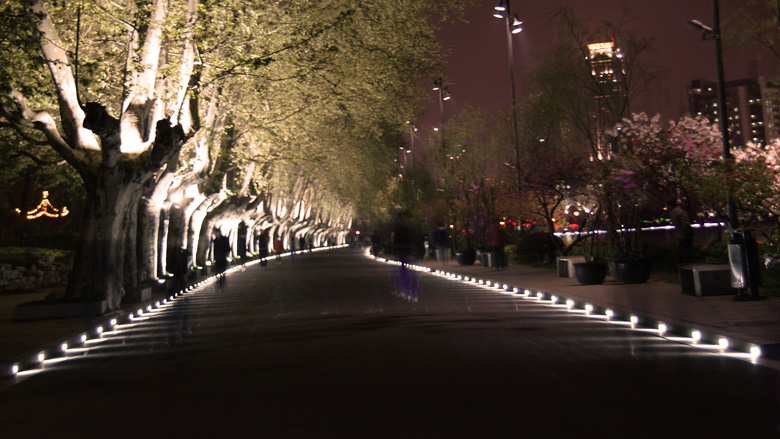 南京玄武湖夜景 05.JPG