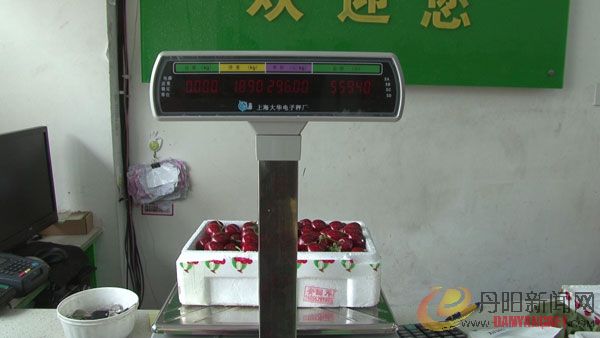 樱桃1.jpg