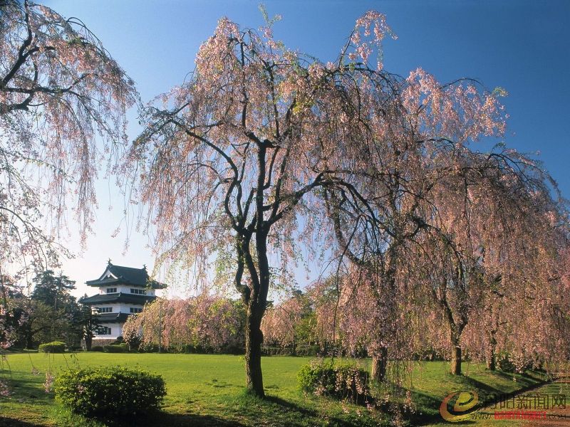 Castle Hirosaki, Japan.jpg