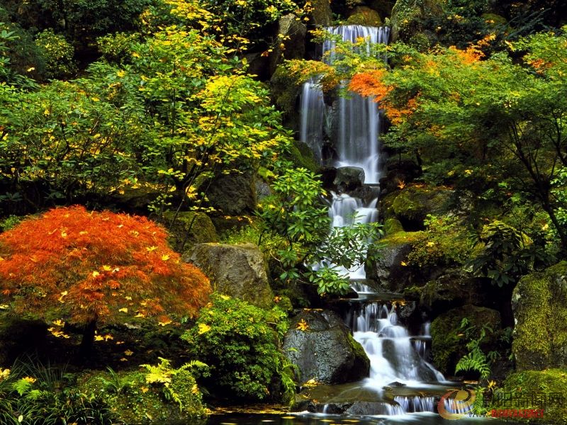 Japanese Garden, Portland, Oregon.jpg