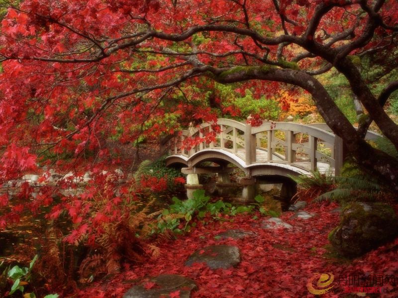 Japanese Garden, Royal Roads University, British Columbia.jpg