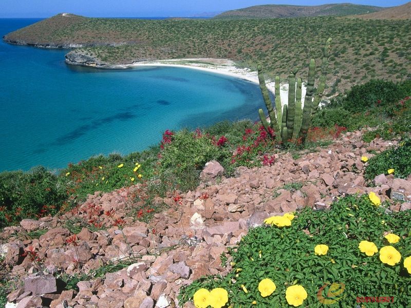 La Paz Region, Baja California, Mexico.jpg