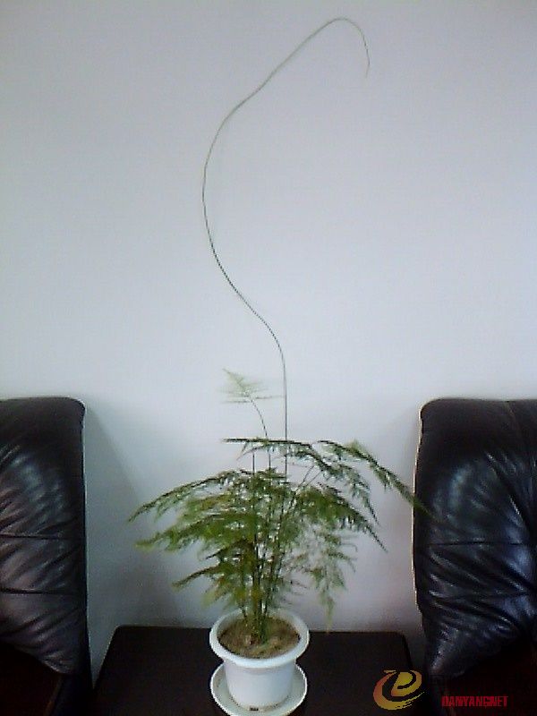IMG1092A_B.jpg