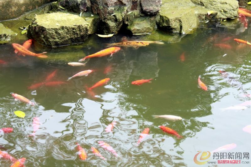 照片农村 097.jpg