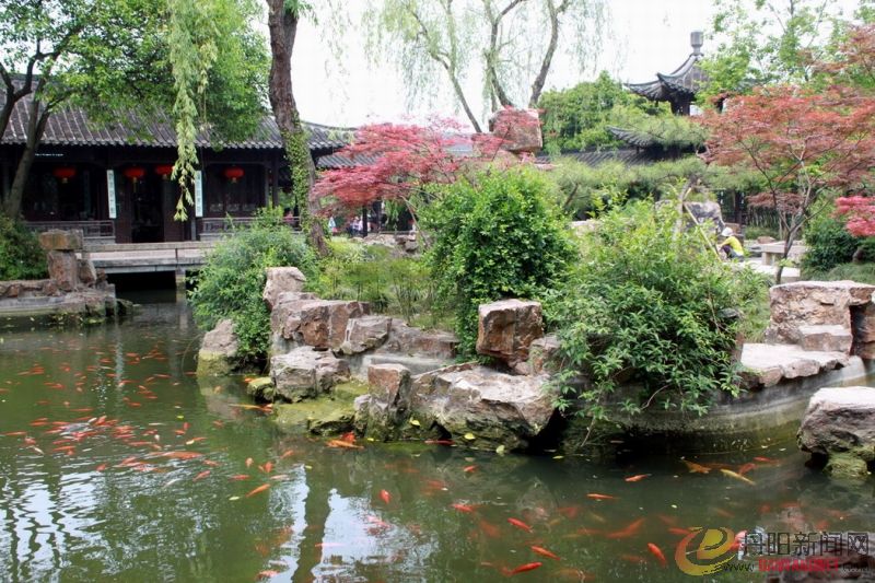 照片农村 099.jpg