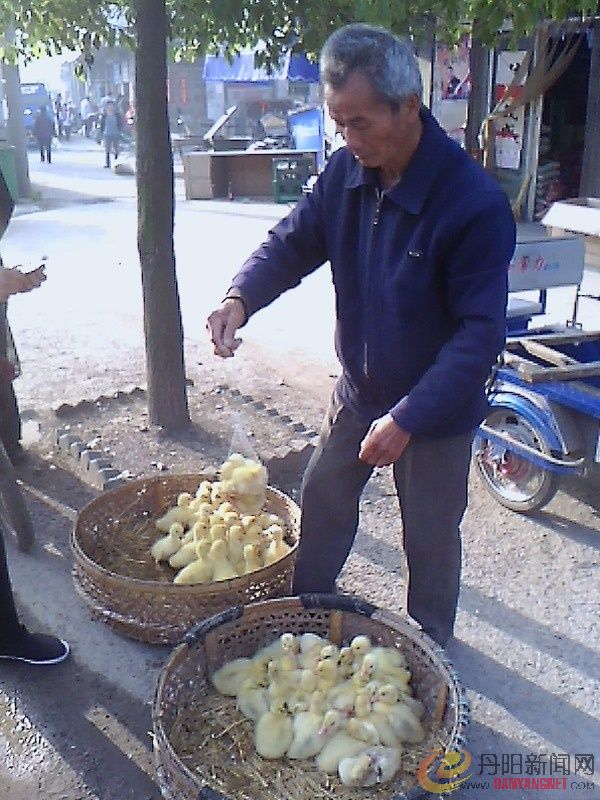 IMG1122A_B.jpg