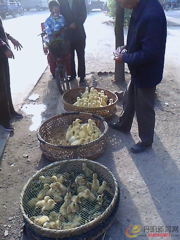 IMG1125A_B.jpg