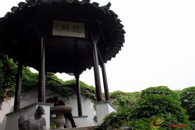 照片农村 193.jpg