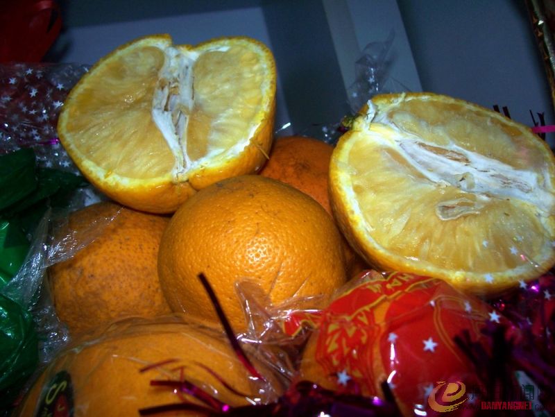 100_9641.jpg