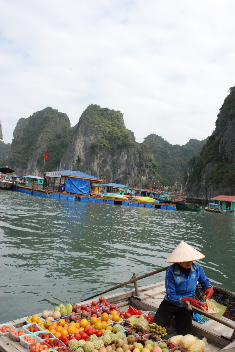 河内下龙海上桂林