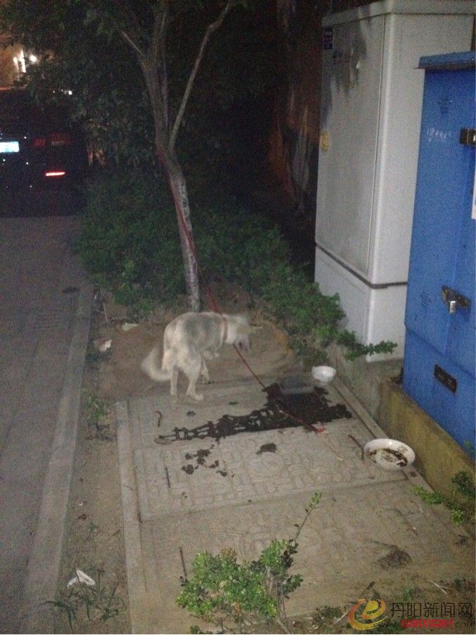 未命名1.jpg