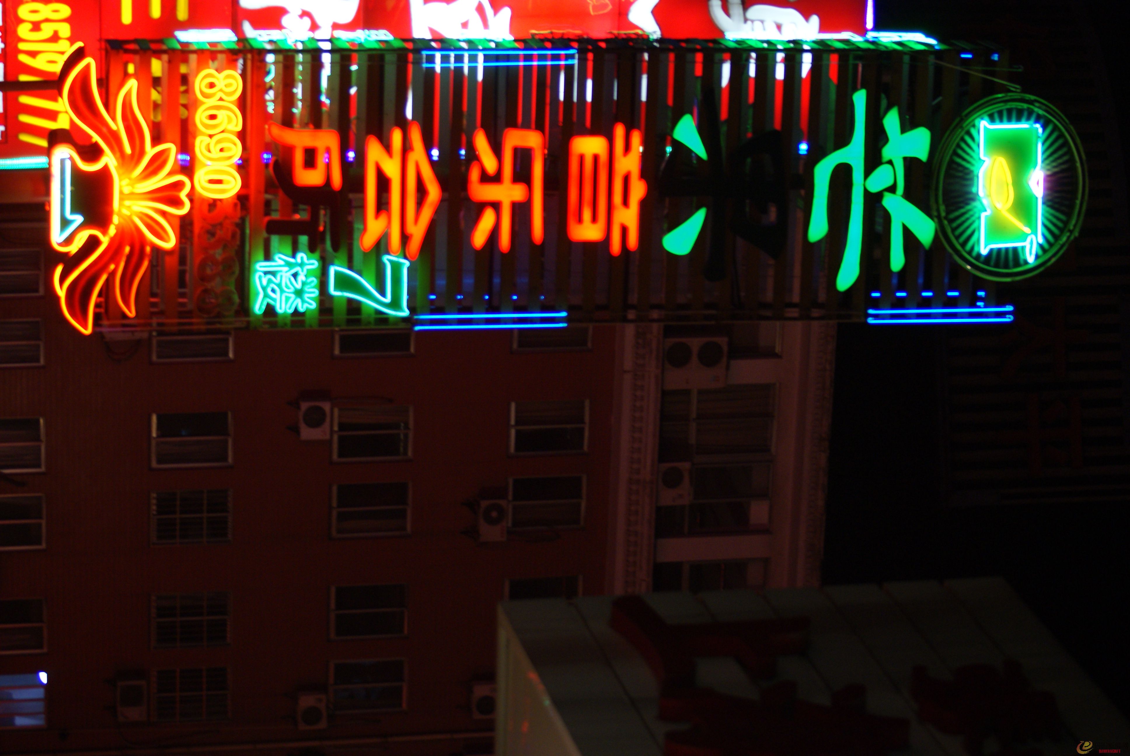DSC00990.JPG