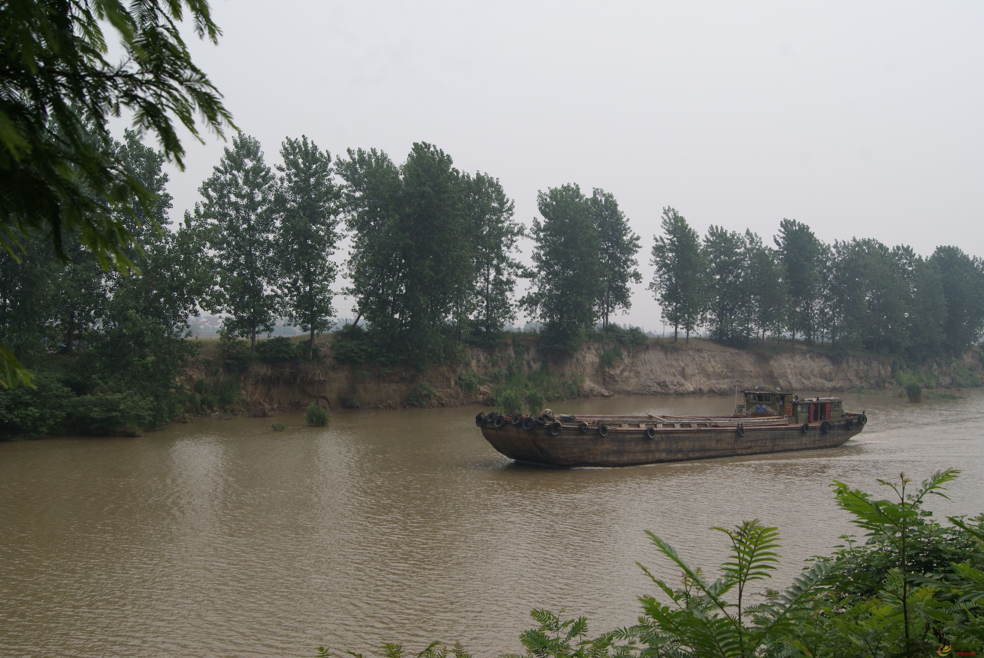 DSC01335.JPG