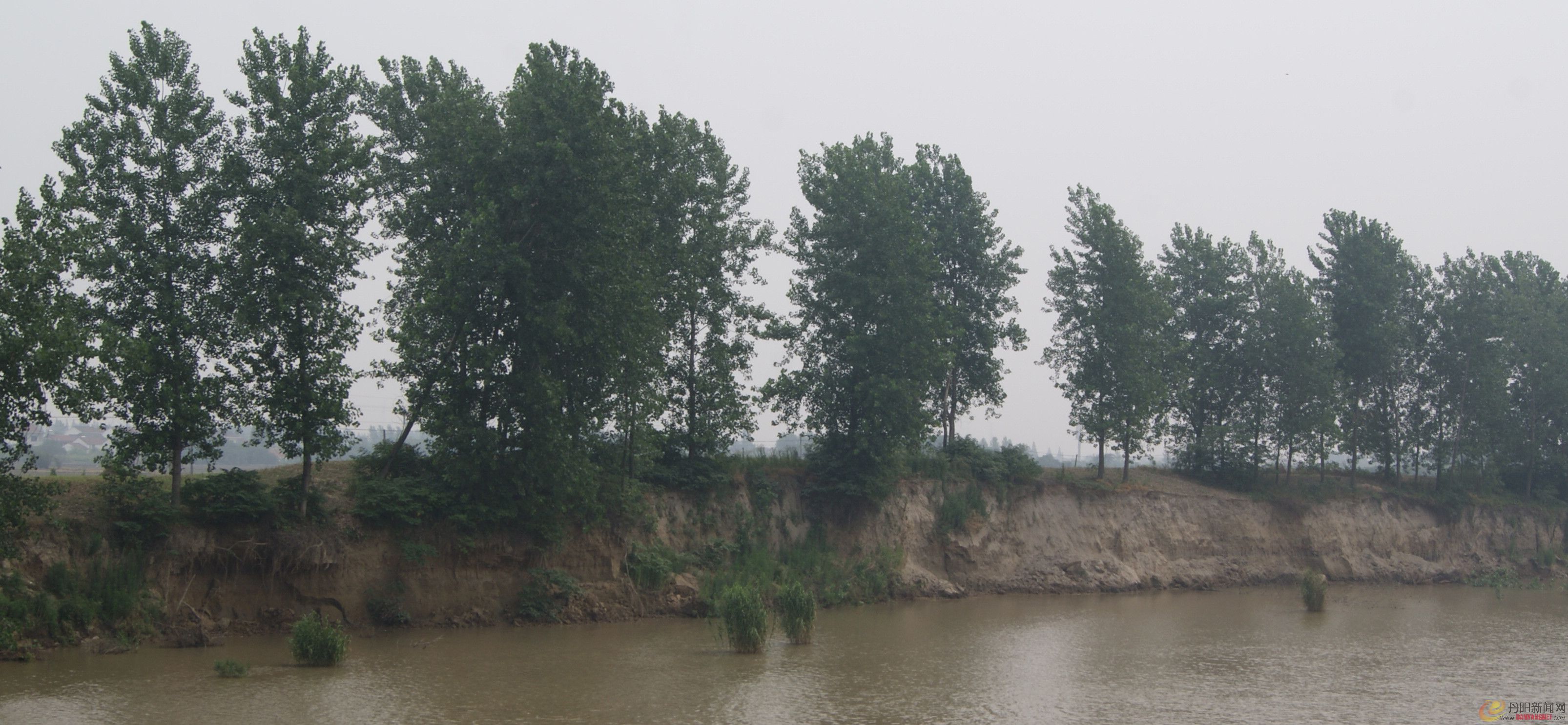 dsc01333_副本.jpg