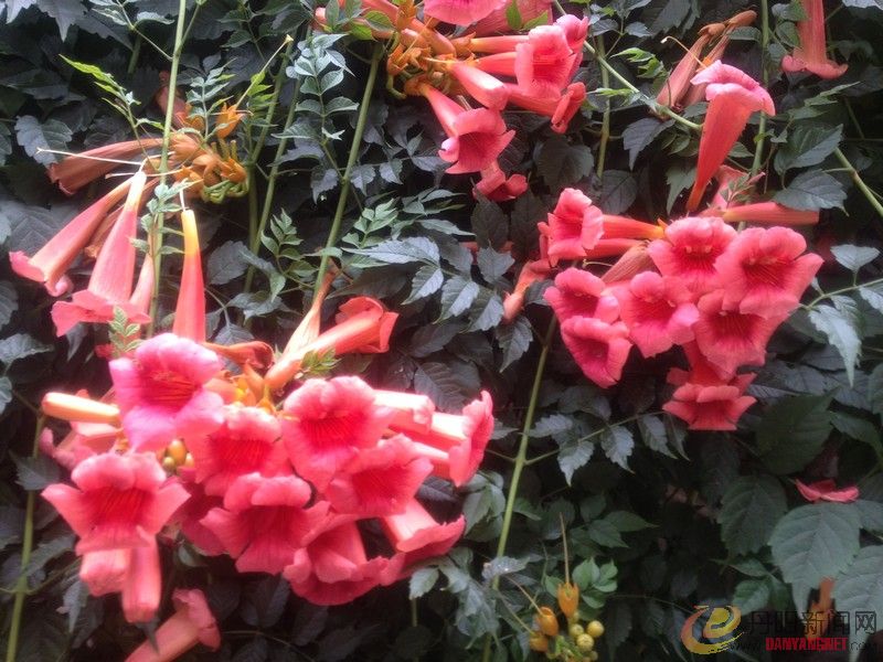 照片 019.jpg