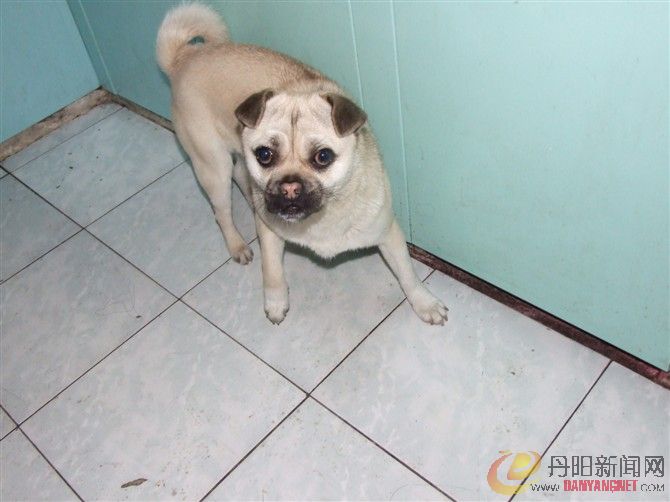 baobei1.jpg
