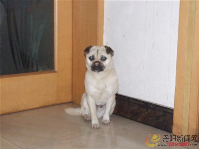 baobei2.jpg