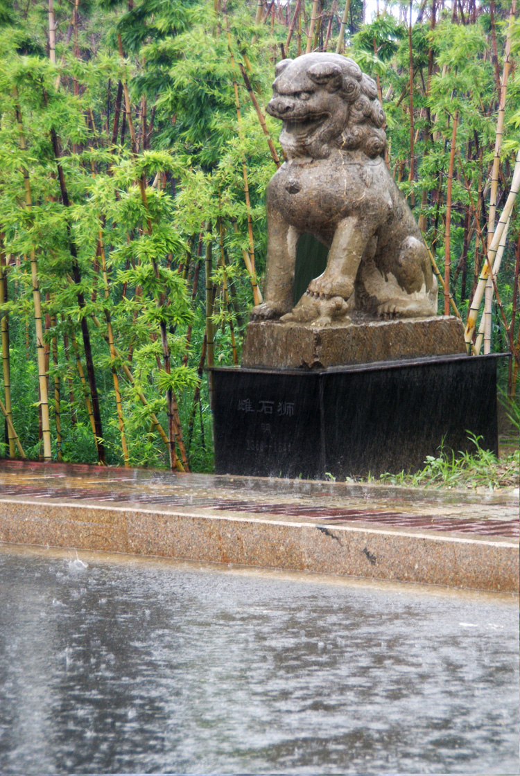 002 大雨洗石狮.JPG