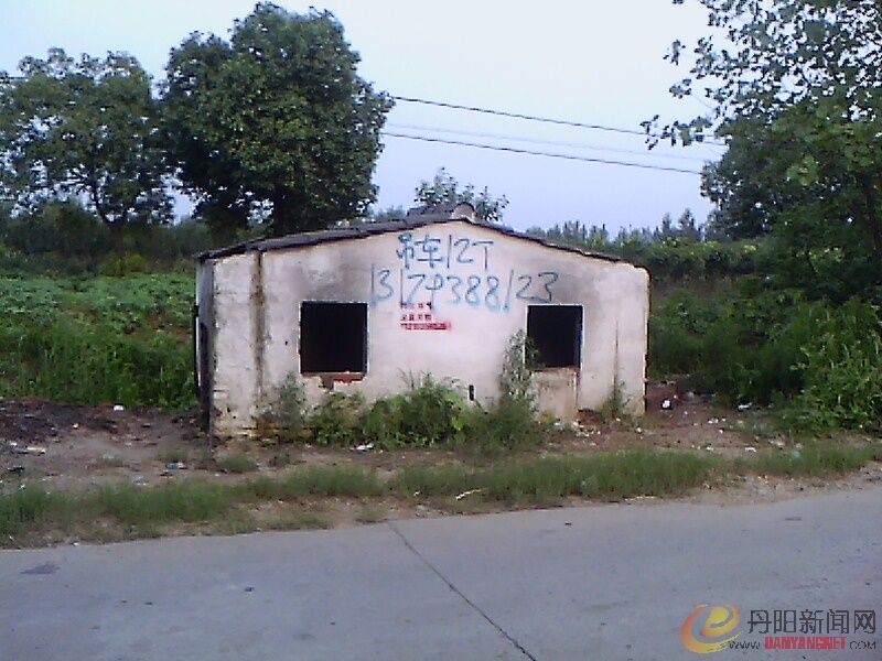 IMG1212A_A.jpg