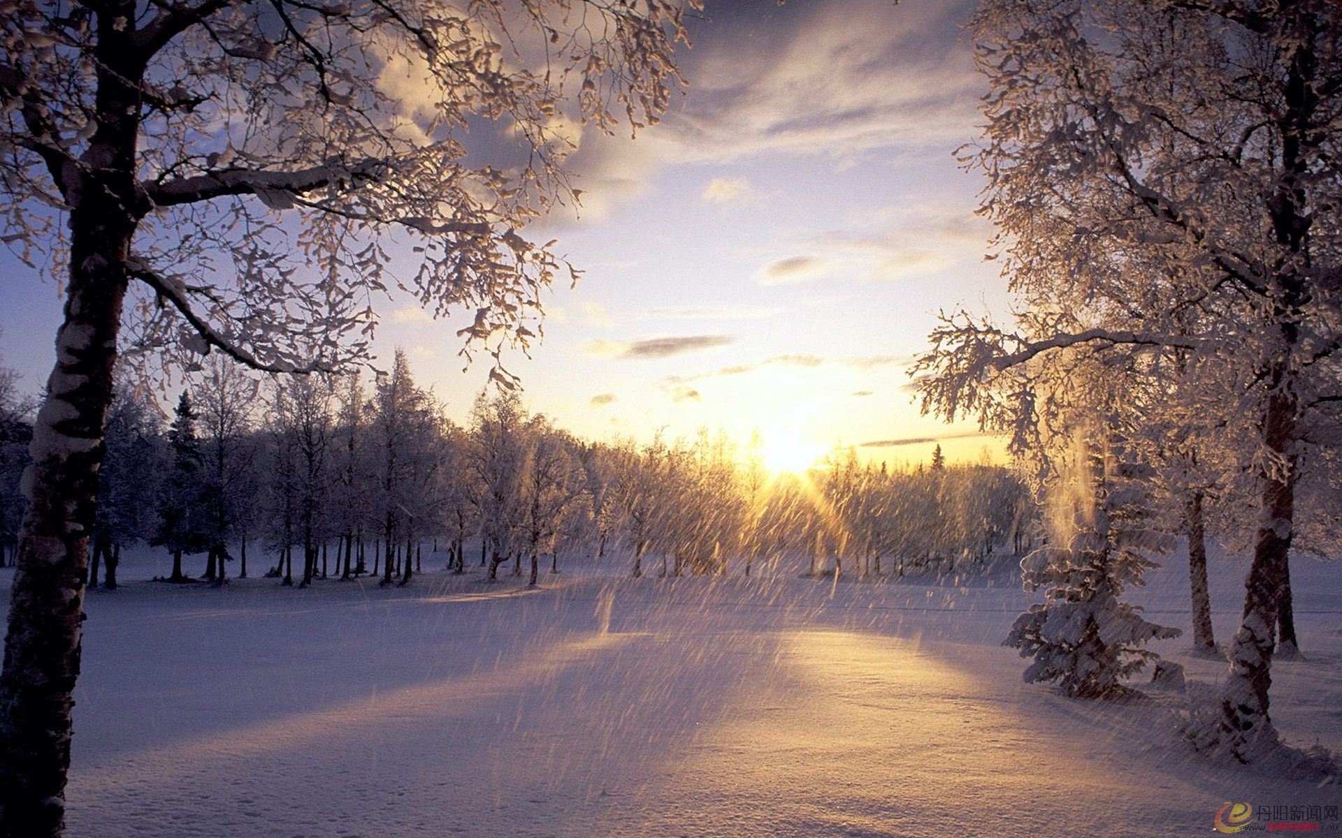 Winter landscape (13).jpg