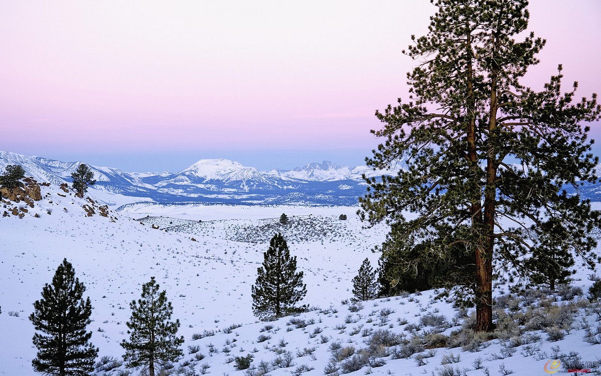 Winter landscape (52).jpg