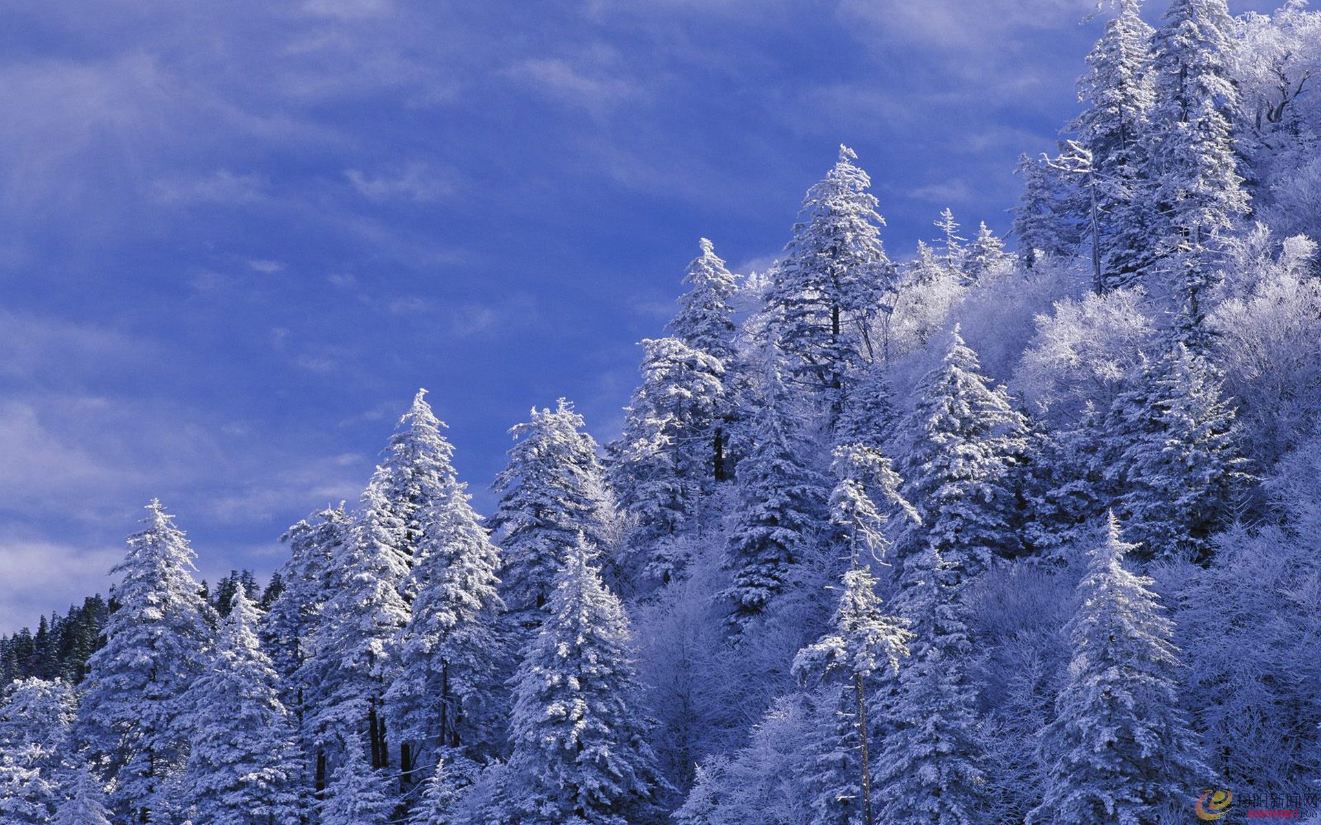 Winter landscape (55).jpg