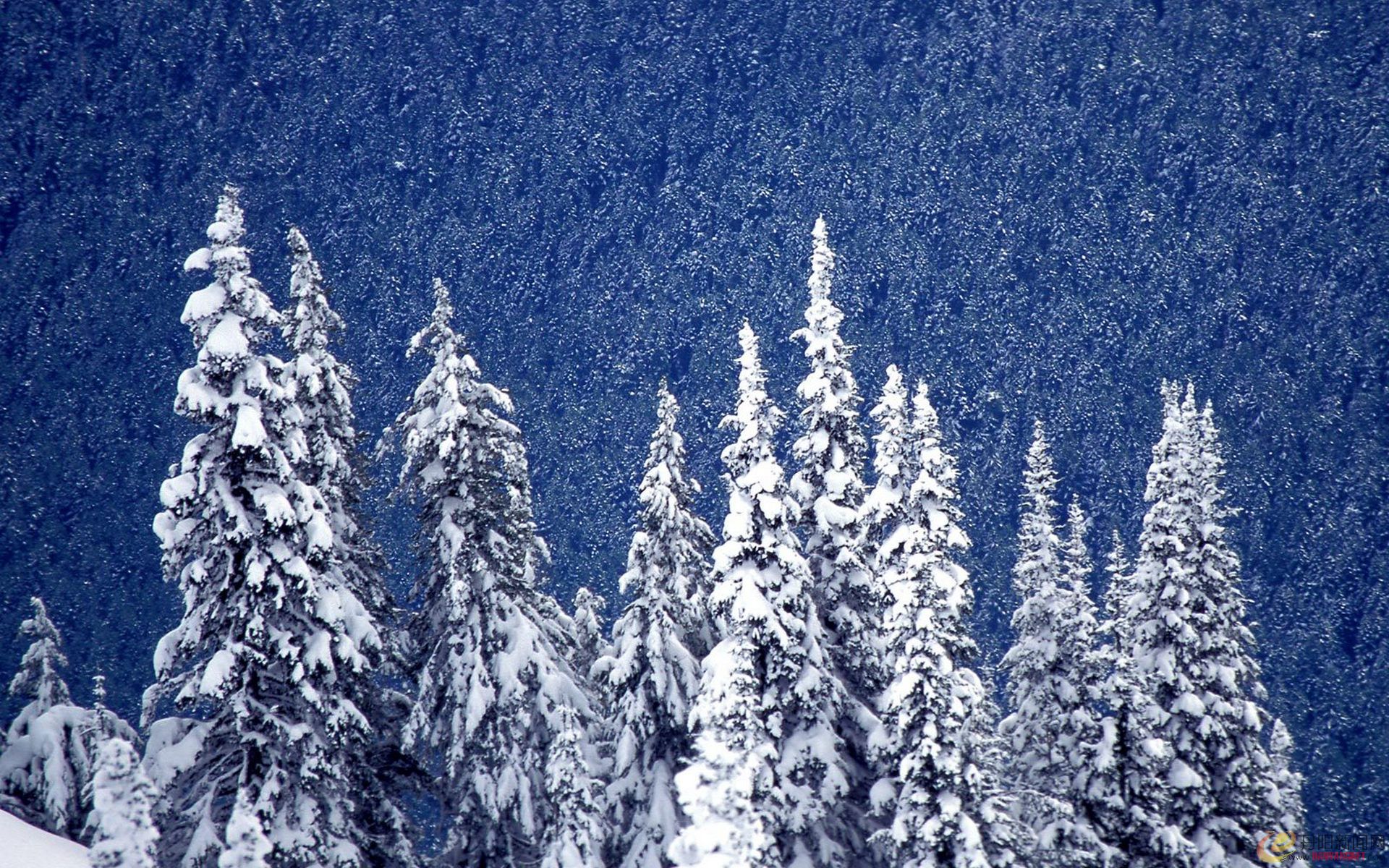Winter landscape (56).jpg